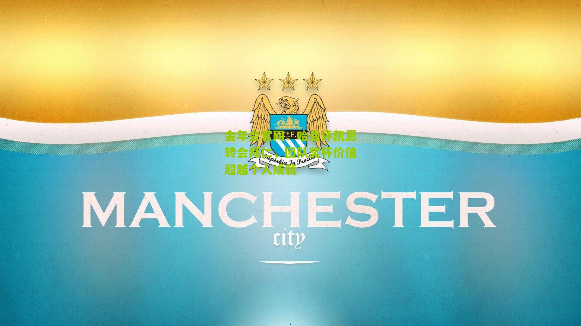 哈曼评凯恩转会拜仁,团队奖杯价值超越个人成就